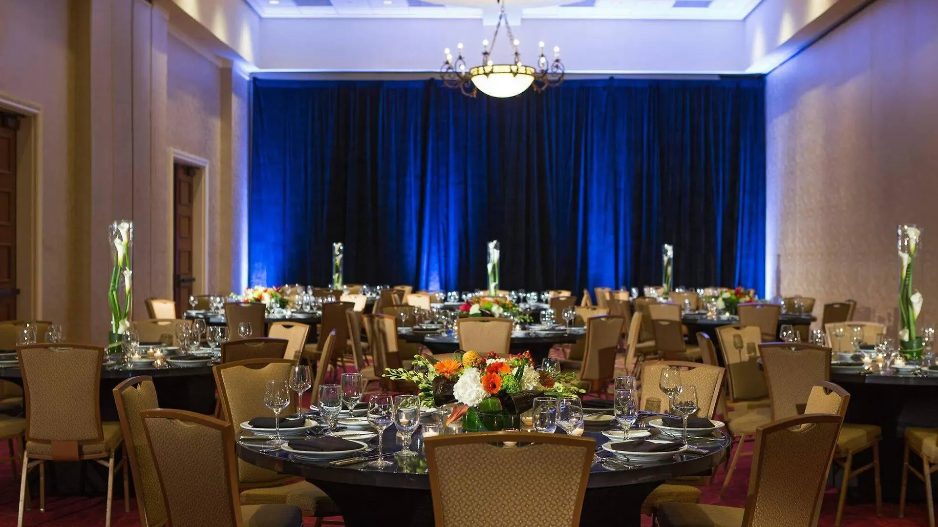 Renaissance Tampa International Plaza Hotel